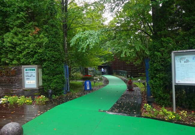 淡水魚の水族館