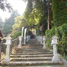 湯泉神社石段の参道