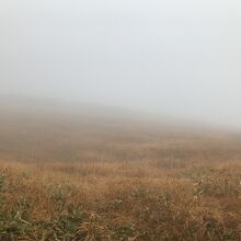 草紅葉の平標山