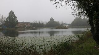 広々とした公園