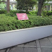 大岡越前忠相の屋敷跡の標識です。植え込みの色の中で鮮明です。
