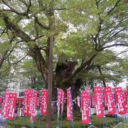 秩父今宮神社