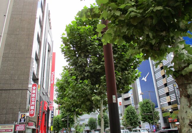 神田小川町スポーツ用品店街 クチコミ アクセス 営業時間 神田 神保町 フォートラベル