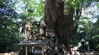 熱海随一のパワースポット