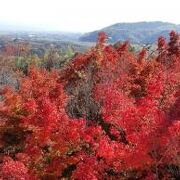 建物と美術鑑賞と庭園、ロケーション抜群