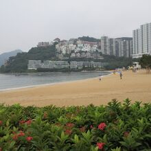 ビーチが美しい