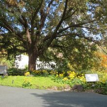 子供連れで楽しめます