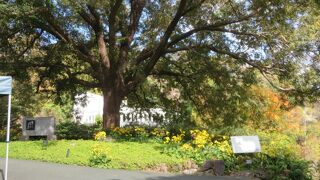 竹林寺のそばです