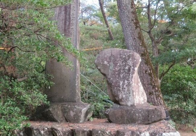 目立たない場所にあります