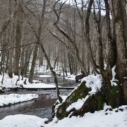 美しい風景