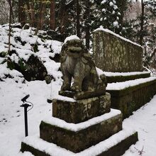十和田神社の狛犬様②