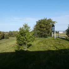 永山新川(ながやましんかわ)の人工土手