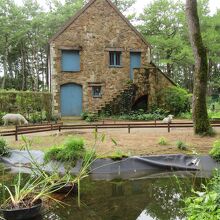 池とグリーンハウス
