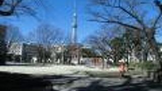 すべての遊具がカラフルな公園