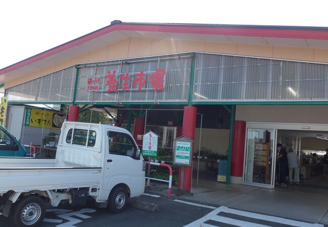 道の駅 泗水