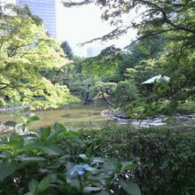 雲形池の北側には、東屋があります。とても静かな環境です。