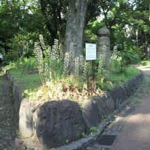 雲形池の周囲には、小路があり、京橋の欄干も見ることができます