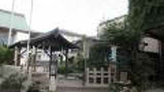 あちらこちらに