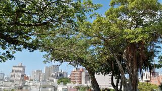 市街のビル群が見渡せます