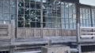 バスでも来れます