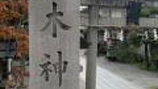 御本殿の造替工事中