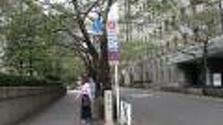 桜の木々がなびいてます。