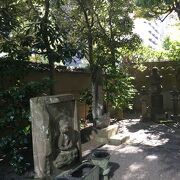 木陰が多い寺