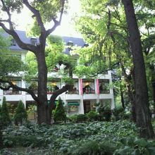 日比谷公園松本楼は、緑に囲まれた静かな雰囲気のレストランです