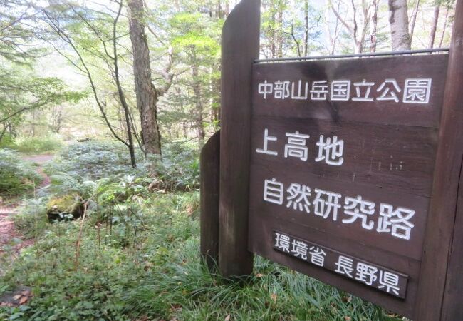 上高地の公園 植物園 クチコミ人気ランキング フォートラベル 長野県
