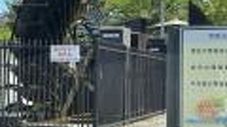 発電用水車がありました。