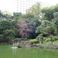 中庭の日本庭園