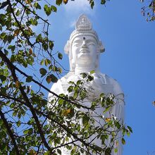 船岡城址公園がある丘の上に立つ船岡平和観音は…、