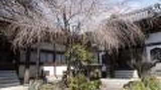 善光寺坂沿いのお寺と比べるとゆったりした感じ