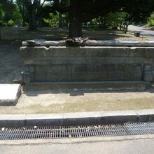 国会前庭庭園にある「桜の井」です。高速道路の横にあります。