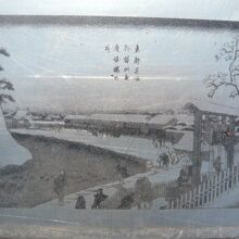 安藤広重による桜の井の紹介の絵画です。茶の湯にも適していた。