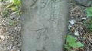 柳の井戸は、三宅坂の東側にあり、皇居の桜田濠のすぐ横にて、見ることができます。