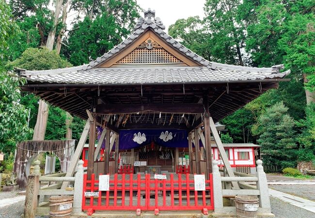 癌封じの神社として有名らしい!