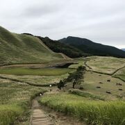 ススキが綺麗な曽爾高原