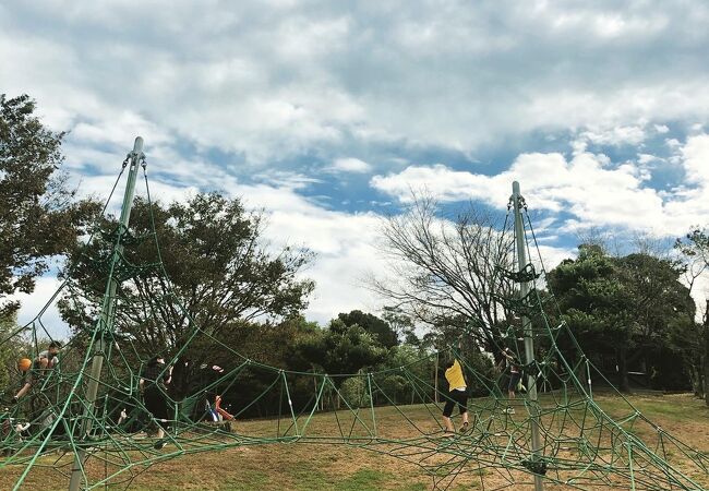 多様な遊具あり、子ども大満足