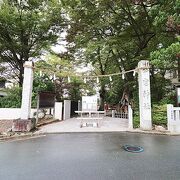 「秩父今宮神社」街中なのに厳か！龍がたくさんいる神社♪