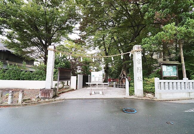 「秩父今宮神社」街中なのに厳か！龍がたくさんいる神社♪