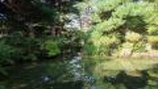 落ち着いた雰囲気の庭園