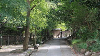 源氏物語 宇治十帖に因んで付けられた静かな散策路 ♪