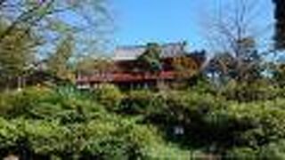 「月の松」は必見！