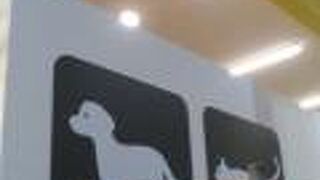 犬や猫から熱帯魚までいます