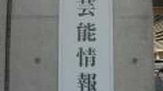 伝統芸能情報館は、日本の伝統的な芸能に関して、広く情報を提供するための施設です。
