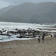 週末は凄い混雑なので、平日の訪問がベストです。