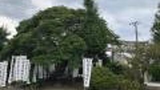 北条氏と同じ三つ鱗の紋