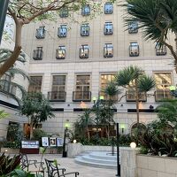 中庭緑たくさんで最高です、テラスで朝食オススメです