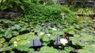 ゆっくりと楽しめます